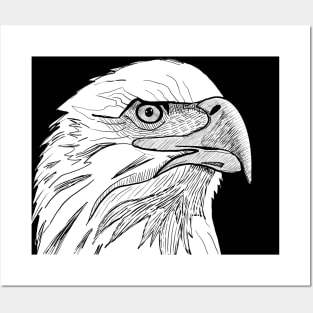 Eagle Artwork Posters and Art